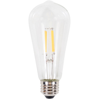 Bulb Led St19 Soft White 5w