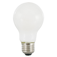 Bulb Led A21 Frost Sftwht 13w