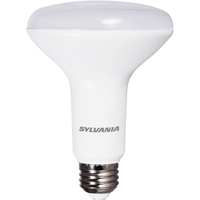 Bulb Led Br30 Flood Brtwht 7w