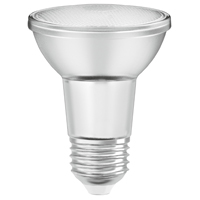 Bulb Led Par20 Flood Daylt 6w