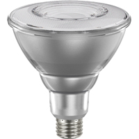 Bulb Led Par38 Flood Cwht 14w