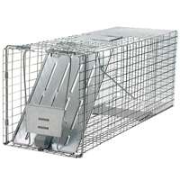 RACCOON TRAP