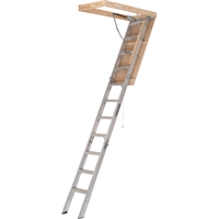 Ladder Attic Stair 22.5x8'9"