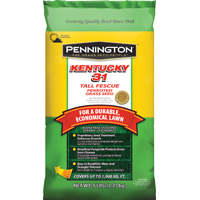 148427 KENTUCKY 31-PENKOTED