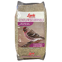2647284 SUNFLOWER KERNEL 25LB