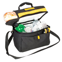 BAG COOLER INSULATED 11INCH