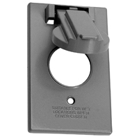 W/P 1G.SW/RECEP COVER