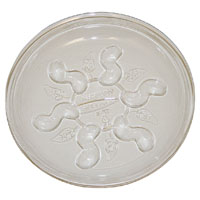 12" Saucer Plus