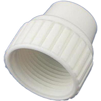 CAP PEX POLY 3/4 IN