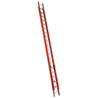 FE3240 FG EX LADDER 40' TYPE I