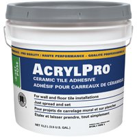 CARL40003 ACRYLIC MASTIC 3.5GA