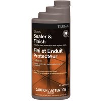 CTLGLSSQT-3 GLOSS SEALER & FIN