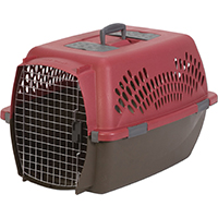 21090 PET TAXI LARGE