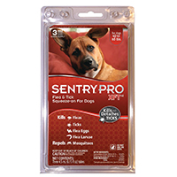 02911 FLEA TICK SQZDOG 40-60LB