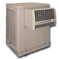 COOLER WINDOW EVPORTVE 5000CFM