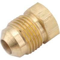 PLUG FLARE BRASS 3/8 IN