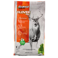 FOOD PLOT SEED CLOVER 4LB