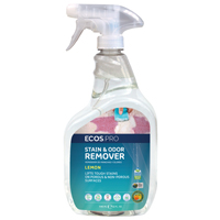 PL9707/32 STAIN ODOR REMOVER