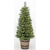 Xmas Tree 4' Norway Spruce W/pot