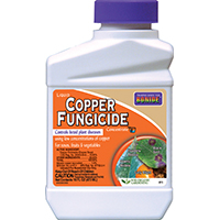 LIQUID COPPER PINT CONCENTRATE