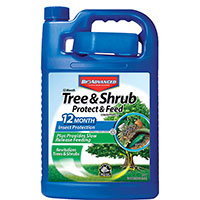 INSECT CONTROL TREE FEED GAL