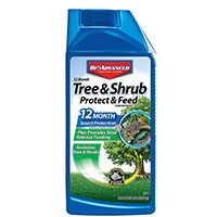 TREE/SHRUB FEED CONC 32OZ