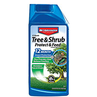 TREE/SHRUB FEED CONC DISPLY