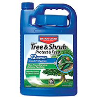 TREE/SHRUB FEED CONC 1GALLON