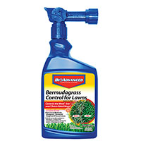 GRASS BERMUDA CONTROL 32OZ RTS