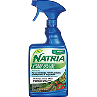 MITE/DISEASE CONTROL 24OZ RTU
