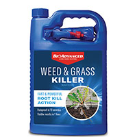 KILLER WEED-GRASS RTU 1GALLON