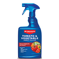 KILLER INSECT TOMATO-VEG 24OZ