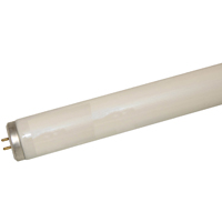 SYL-24477 FLUORESCENT LAMP MED B