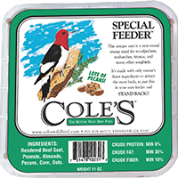 SFSU SUET CAKE WILD BIRD 11OZ