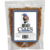 DRMW MEALWORM BIRD DRIED 3.5OZ
