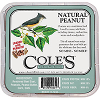 SEED BIRD SUET PEANUT