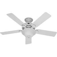 HUN-53251 52PRO'S BEST CEILING F