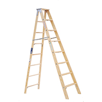 LADDER STP WD TYPE1 250LB 8FT