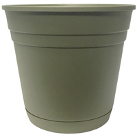 Southern Patio RR0824FE Rolled Rim Planter, 7.38 in H, Round, Plastic, Fern