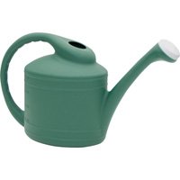 Southern Patio WC8108FE Watering Can, 2 gal Can, Resin, Fern