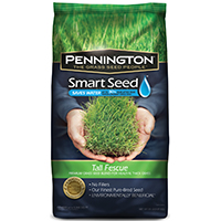 SEED/TALL FESCUE BLEND 20#