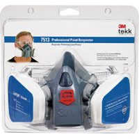 3M TEKK Protection 7513PA1-A/R7513ES Paint Spray Respirator, L Mask, P95