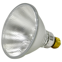 SPOTLIGHT HALGEN PAR38 MED 60W