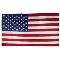 FLAG US NYLON 4X6 FEET