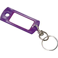 KEYTAG W/SWIVEL RING 2CD