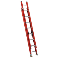 CFGD 16' EXTENSION LADDER