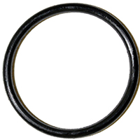 DAN-35780B FAU O-RING #66