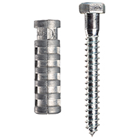 254S LAG SHIELD 3/8 L+LAGBOLT