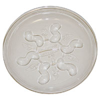 8" Saucer Plus