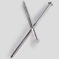 8D SS RING SHANK NAIL 25#